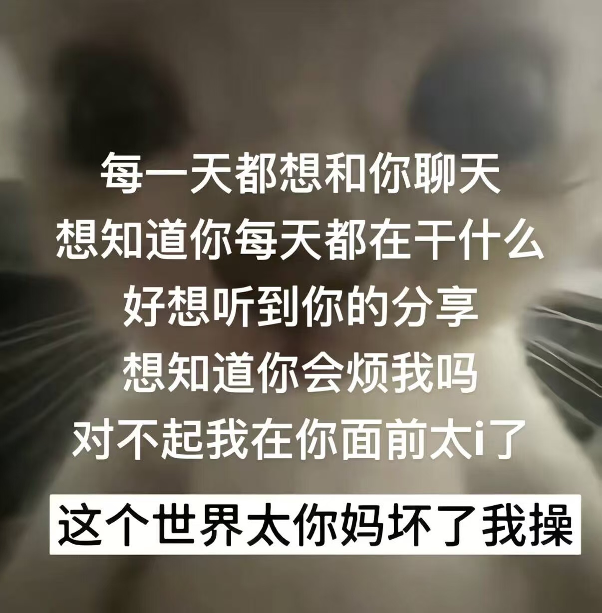mmexport1769431150429.jpg